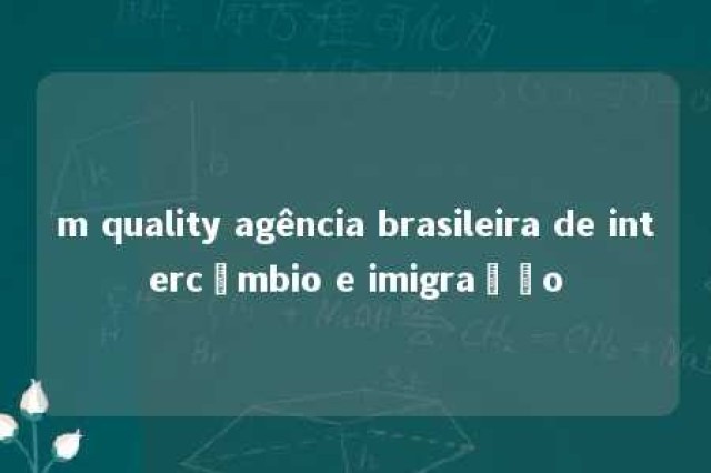 m quality agência brasileira de intercâmbio e imigração 