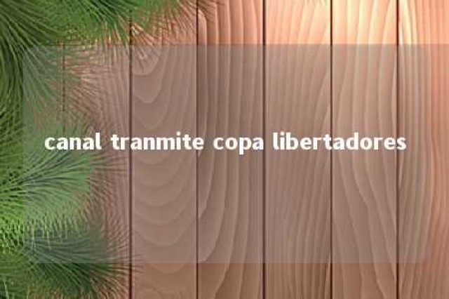 canal tranmite copa libertadores 