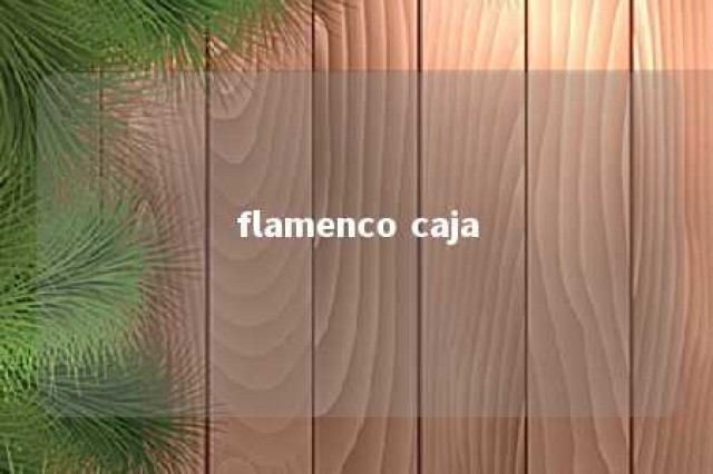 flamenco caja 