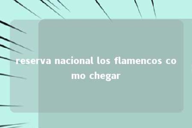 reserva nacional los flamencos como chegar 