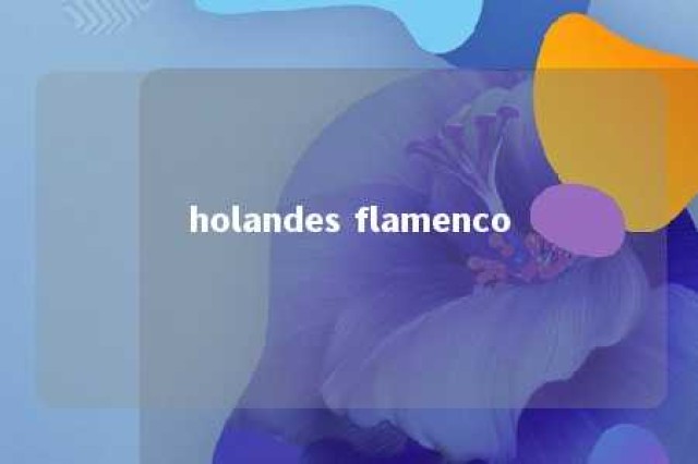 holandes flamenco 