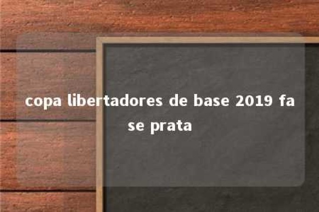 copa libertadores de base 2019 fase prata 