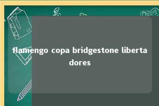 flamengo copa bridgestone libertadores 