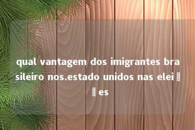 qual vantagem dos imigrantes brasileiro nos.estado unidos nas eleições 