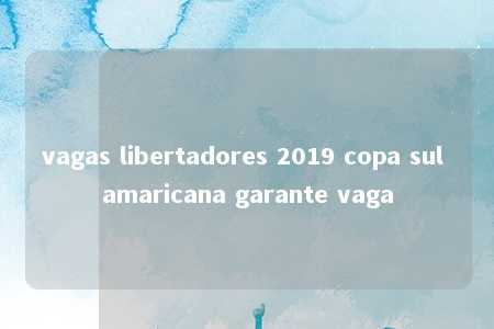 vagas libertadores 2019 copa sul amaricana garante vaga