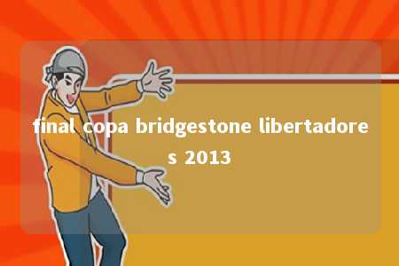 final copa bridgestone libertadores 2013