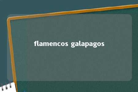 flamencos galapagos